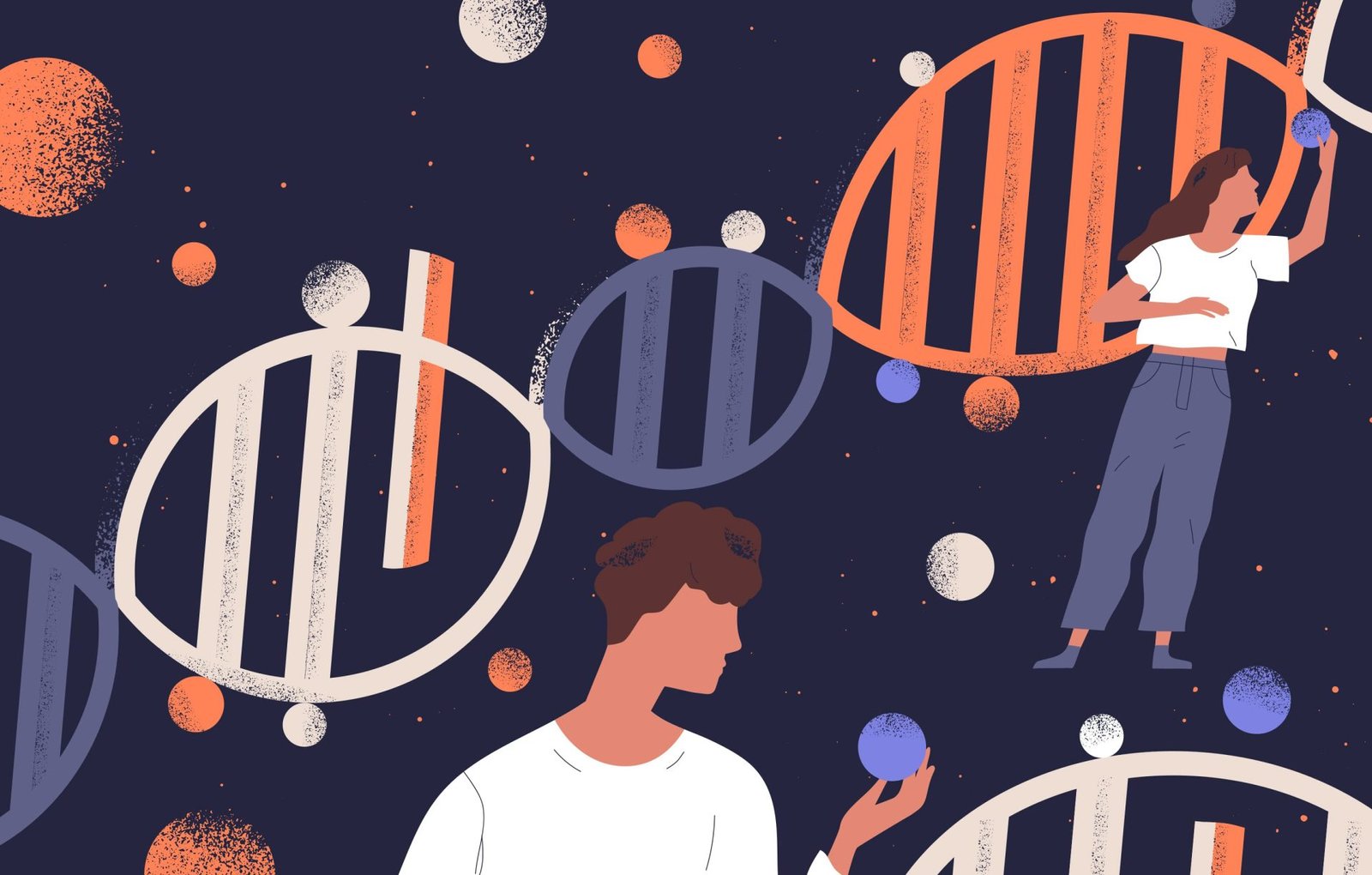 Assistência Técnica Especializada